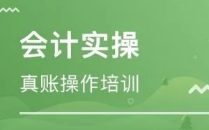 柠檬云课堂代开通 - 学会计懂实操，找工作不迷路